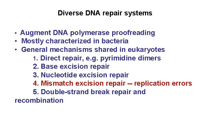 Diverse DNA repair systems • Augment DNA polymerase proofreading • Mostly characterized in bacteria