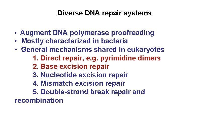 Diverse DNA repair systems • Augment DNA polymerase proofreading • Mostly characterized in bacteria