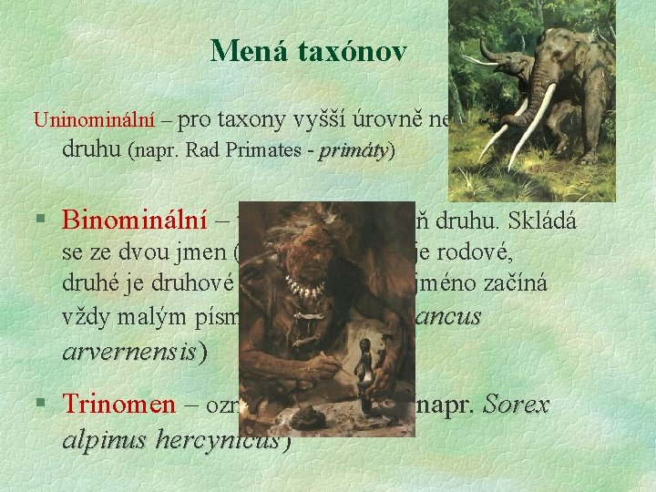 Mená taxónov Uninominální – pro taxony vyšší úrovně než skupina druhu (napr. Rad Primates Mená taxónov Uninominální – pro taxony vyšší úrovně než skupina druhu (napr. Rad Primates