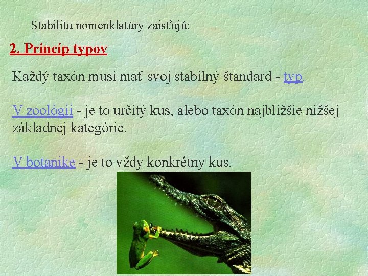 Stabilitu nomenklatúry zaisťujú: 2. Princíp typov Každý taxón musí mať svoj stabilný štandard - Stabilitu nomenklatúry zaisťujú: 2. Princíp typov Každý taxón musí mať svoj stabilný štandard -