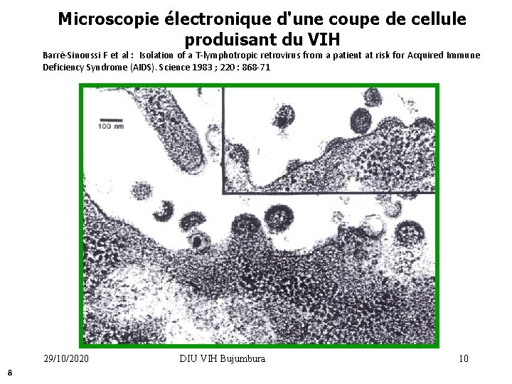 Microscopie électronique d'une coupe de cellule produisant du VIH Barré-Sinoussi F et al :