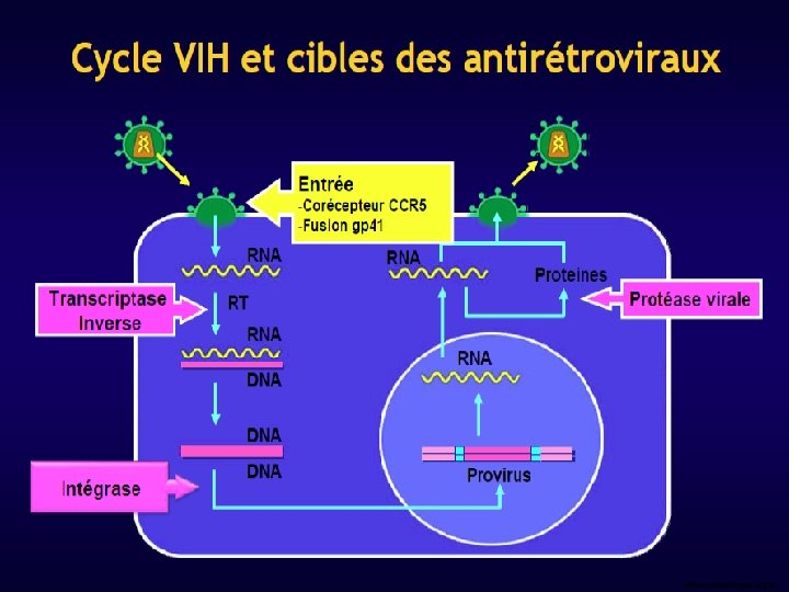 Mécanisme d’action des ARV 29/10/2020 DIU VIH/IST Bujumbura 13 
