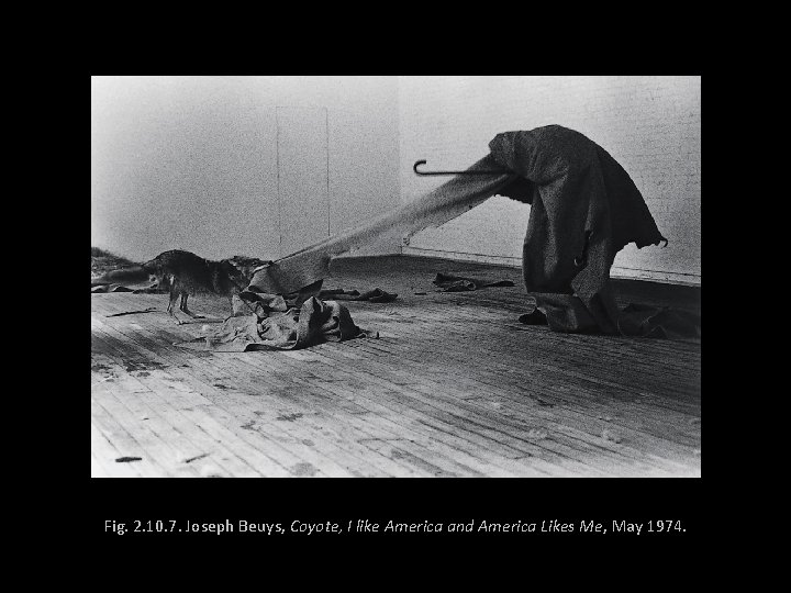 Fig. 2. 10. 7. Joseph Beuys, Coyote, I like America and America Likes Me,