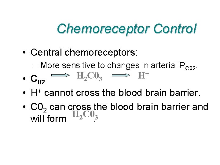 Chemoreceptor Control • Central chemoreceptors: – More sensitive to changes in arterial PC 02.