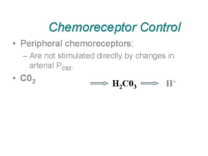 Chemoreceptor Control • Peripheral chemoreceptors: – Are not stimulated directly by changes in arterial
