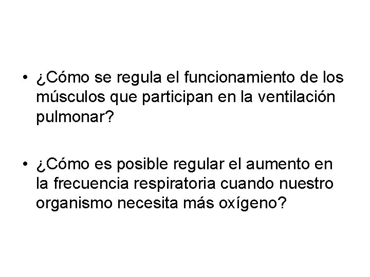  • ¿Cómo se regula el funcionamiento de los músculos que participan en la