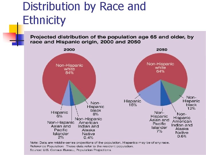 Distribution by Race and Ethnicity 