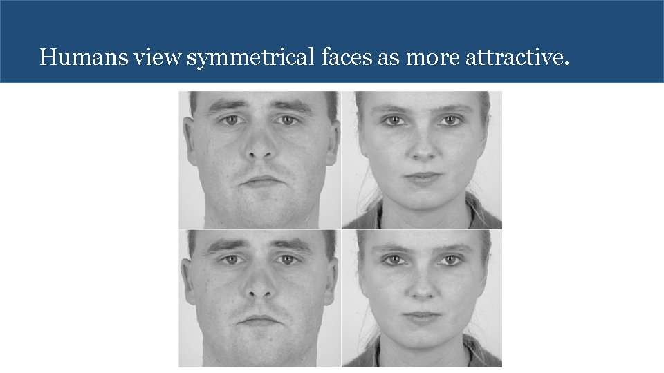 Humans view symmetrical faces as more attractive. 