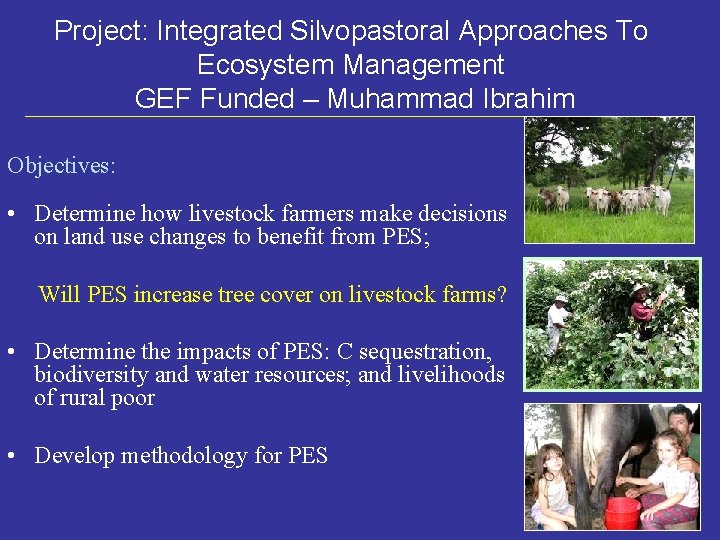 Project: Integrated Silvopastoral Approaches To Ecosystem Management GEF Funded – Muhammad Ibrahim Objectives: •