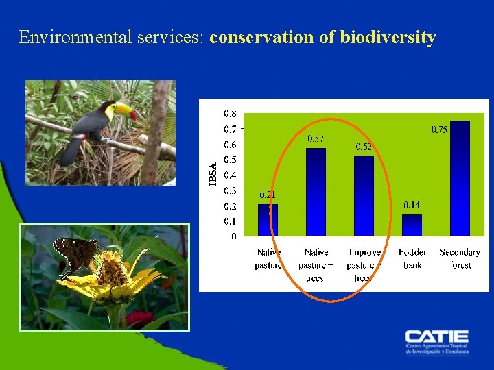 Environmental services: conservation of biodiversity 