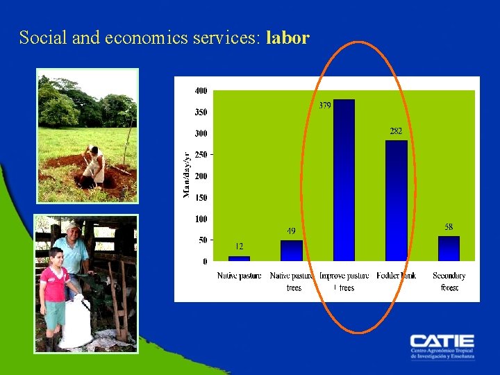 Social and economics services: labor 