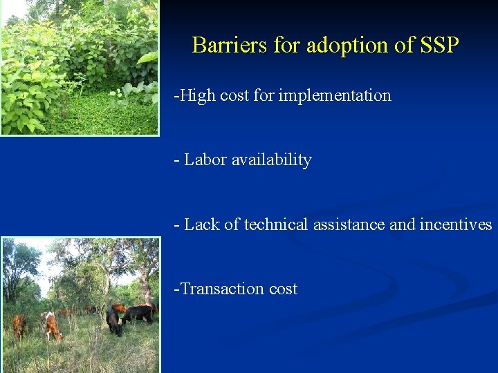 Barriers for adoption of SSP -High cost for implementation - Labor availability - Lack