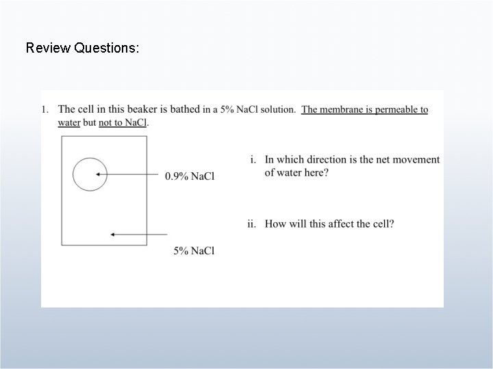 Review Questions: 