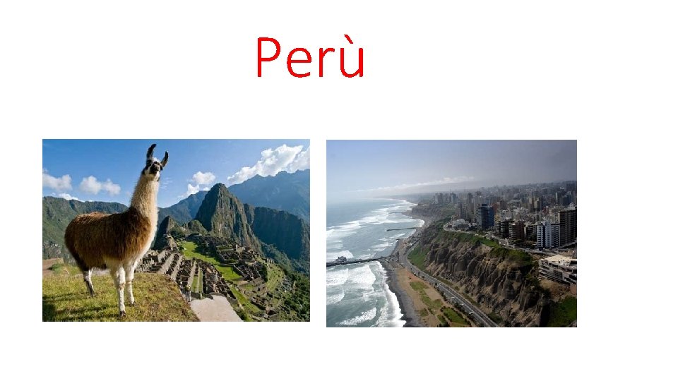 Perù 