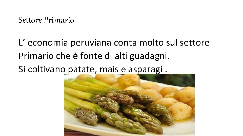 Settore Primario L’ economia peruviana conta molto sul settore Primario che è fonte di