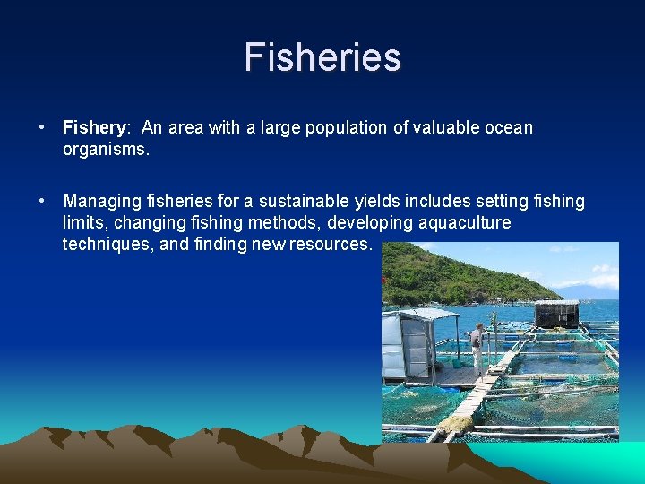 Fisheries • Fishery: An area with a large population of valuable ocean organisms. •