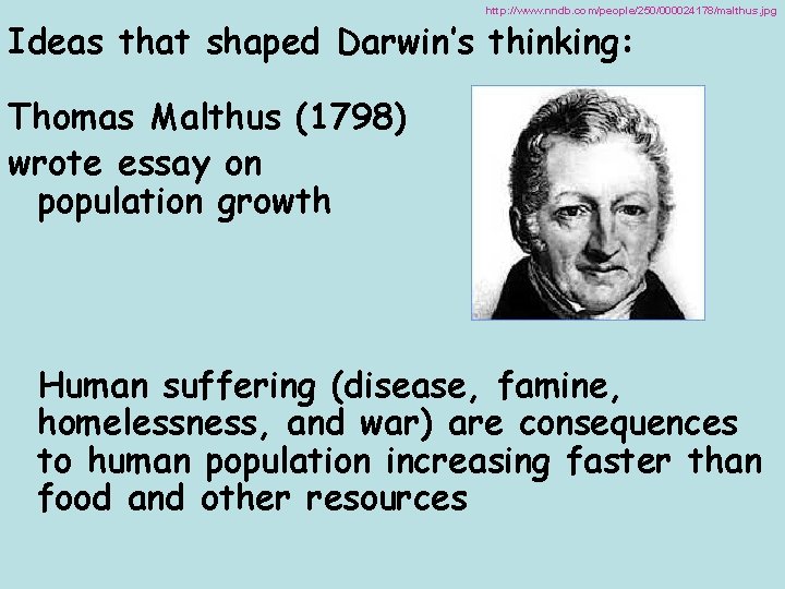 http: //www. nndb. com/people/250/000024178/malthus. jpg Ideas that shaped Darwin’s thinking: Thomas Malthus (1798) wrote