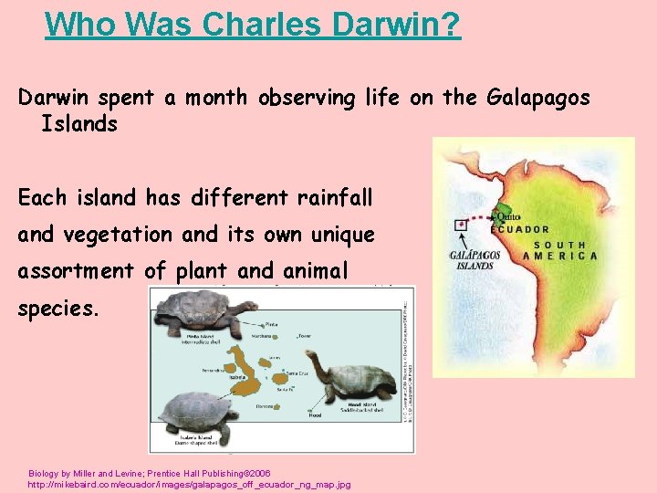 Who Was Charles Darwin? Darwin spent a month observing life on the Galapagos Islands