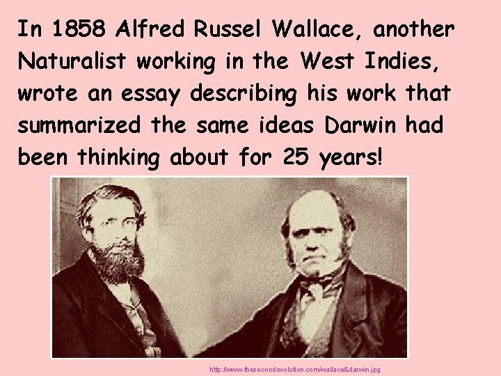 In 1858 Alfred Russel Wallace, another Naturalist working in the West Indies, wrote an