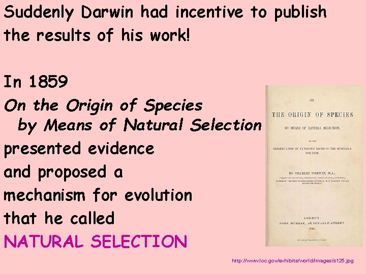 Suddenly Darwin had incentive to publish the results of his work! In 1859 On