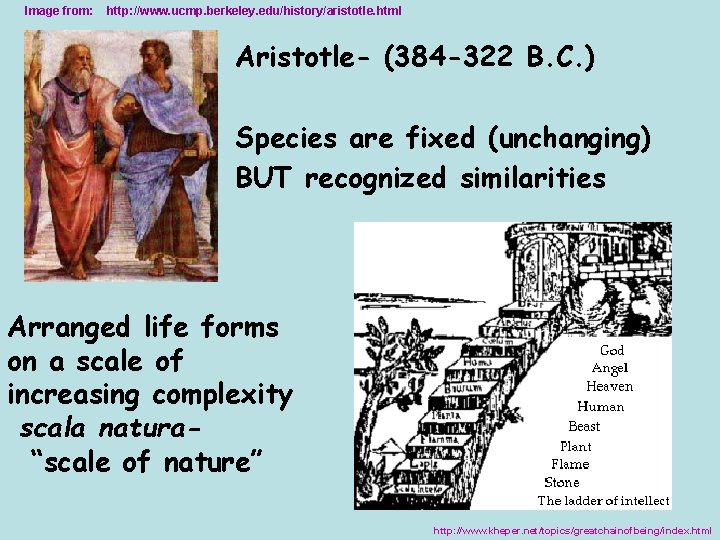 Image from: http: //www. ucmp. berkeley. edu/history/aristotle. html Aristotle- (384 -322 B. C. )