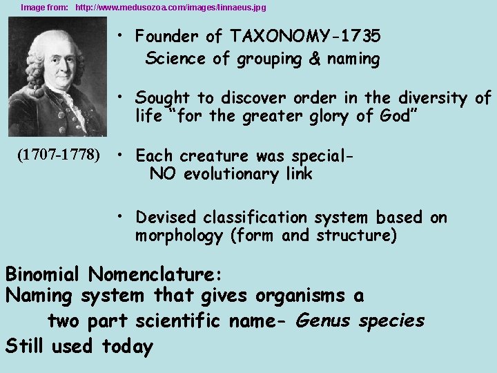 Image from: http: //www. medusozoa. com/images/linnaeus. jpg • Founder of TAXONOMY-1735 Science of grouping