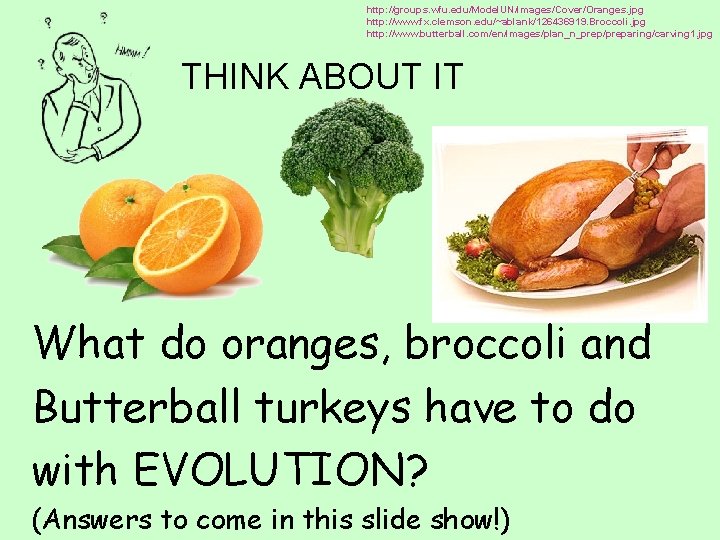 http: //groups. wfu. edu/Model. UN/images/Cover/Oranges. jpg http: //www. fx. clemson. edu/~ablank/126436919. Broccoli. jpg http: