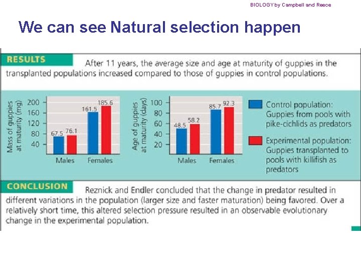 BIOLOGY by Campbell and Reece We can see Natural selection happen 