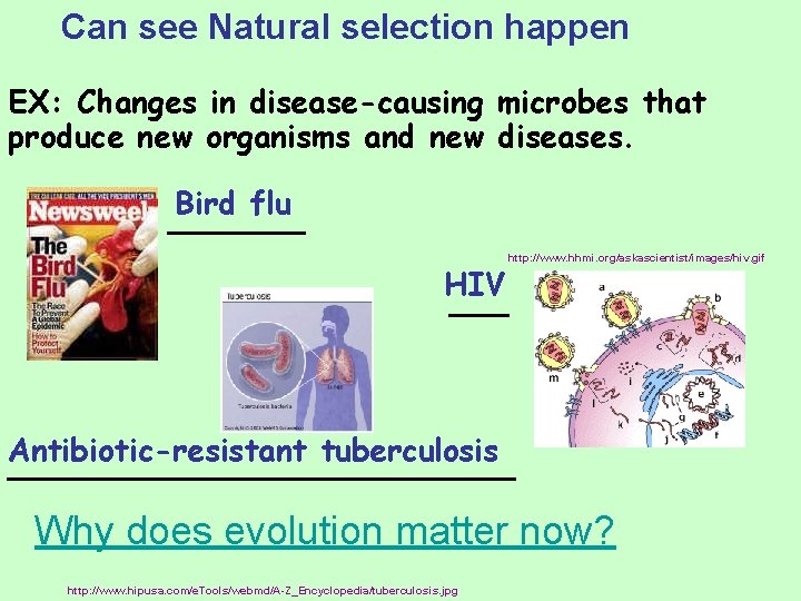 Can see Natural selection happen EX: Changes in disease-causing microbes that produce new organisms