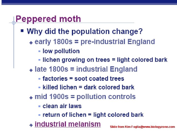 Slide from Kim Foglia@www. biologyzone. com 