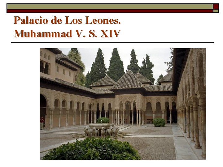 Palacio de Los Leones. Muhammad V. S. XIV 