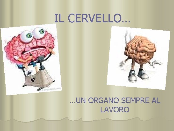 IL CERVELLO… …UN ORGANO SEMPRE AL LAVORO 