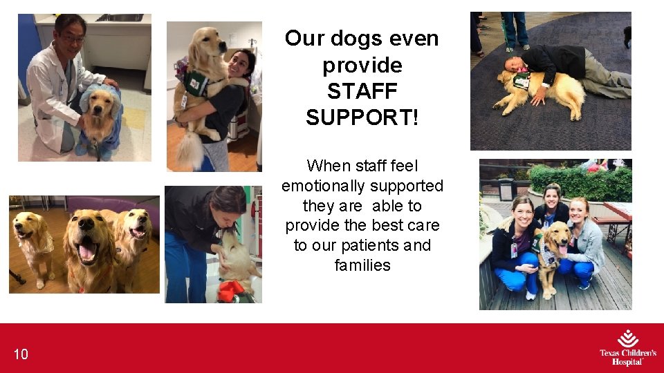 Our dogs even provide STAFF SUPPORT! When staff feel emotionally supported they are able