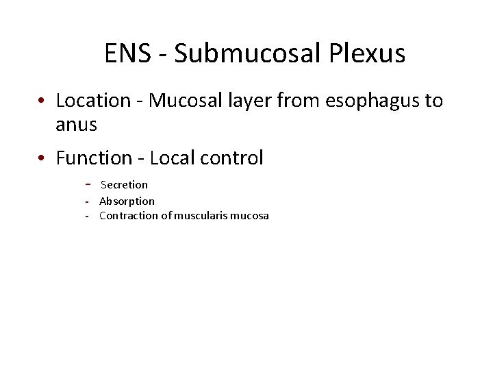 ENS - Submucosal Plexus • Location - Mucosal layer from esophagus to anus •