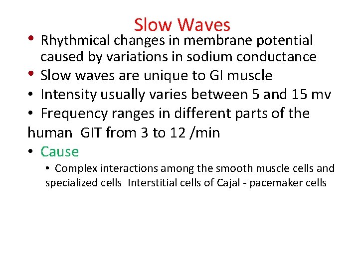  • Slow Waves Rhythmical changes in membrane potential caused by variations in sodium