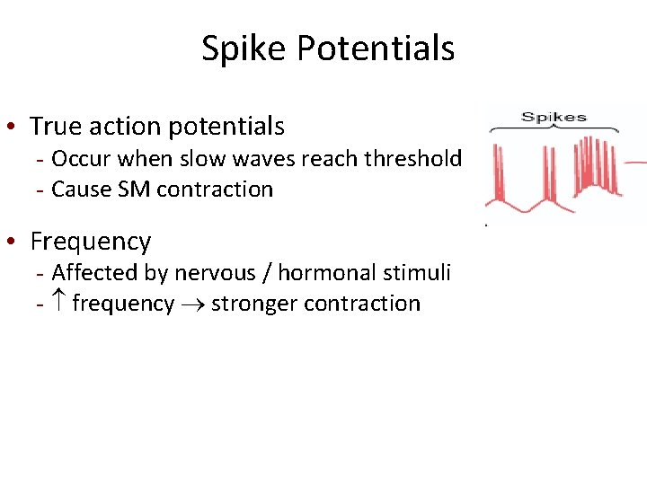 Spike Potentials • True action potentials - Occur when slow waves reach threshold -