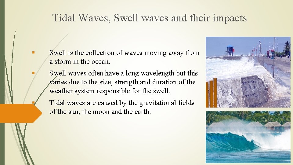 Tidal Waves, Swell waves and their impacts § Swell is the collection of