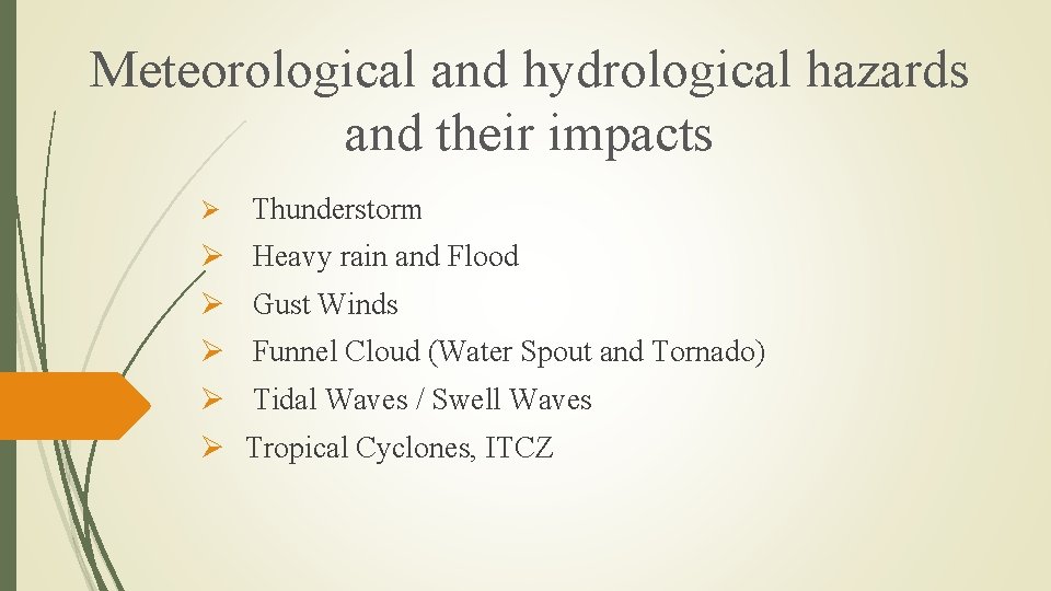Meteorological and hydrological hazards and their impacts Ø Thunderstorm Ø Heavy rain and Flood