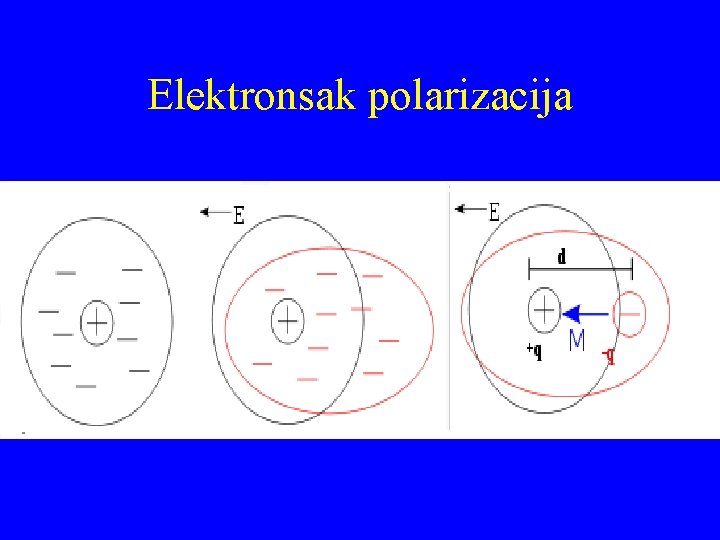 Elektronsak polarizacija 