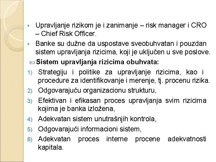 Upravljanje rizikom je i zanimanje – risk manager i CRO – Chief Risk Officer.