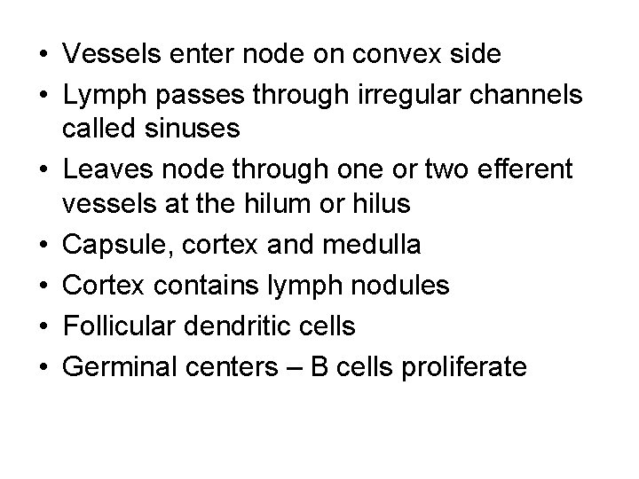  • Vessels enter node on convex side • Lymph passes through irregular channels