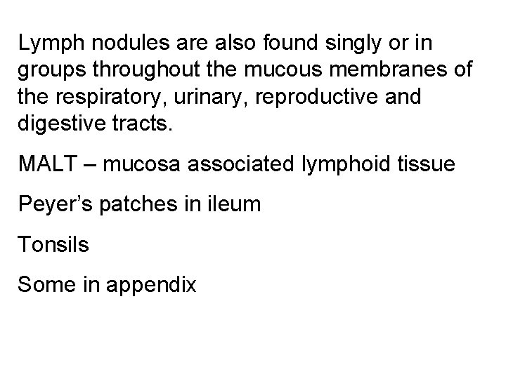 Lymph nodules are also found singly or in groups throughout the mucous membranes of