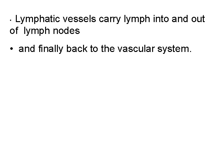 Lymphatic vessels carry lymph into and out of lymph nodes • • and finally