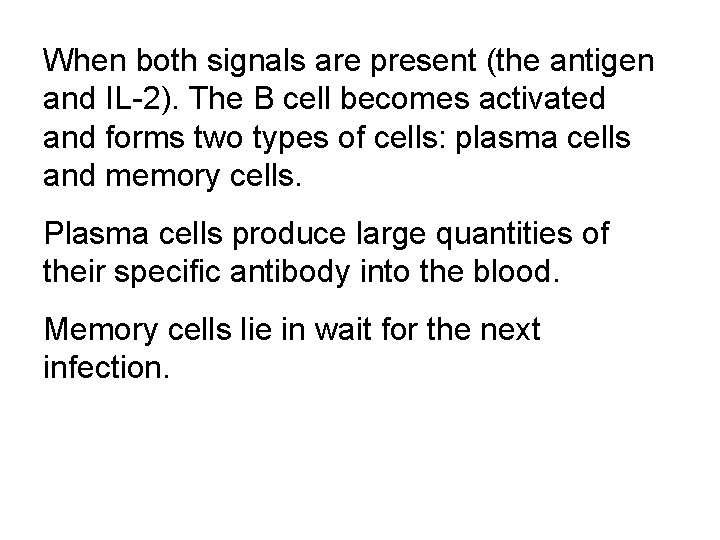 When both signals are present (the antigen and IL-2). The B cell becomes activated
