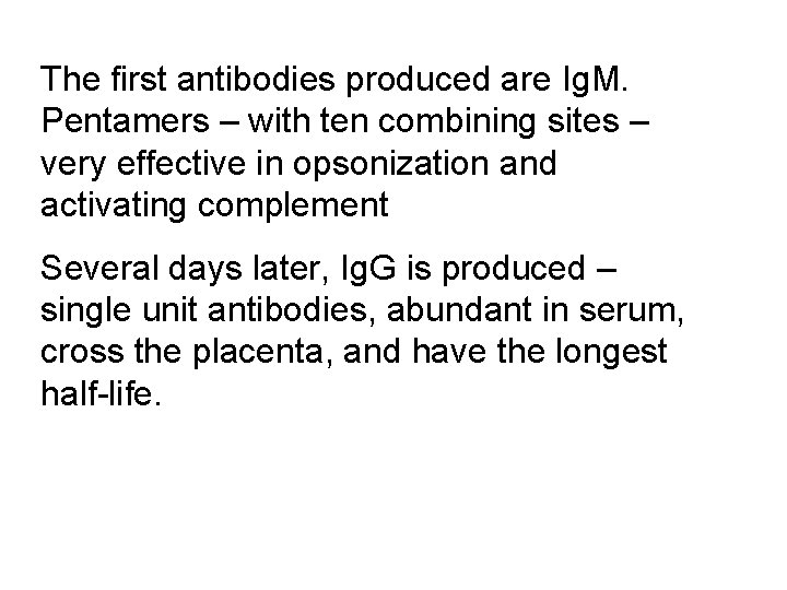 The first antibodies produced are Ig. M. Pentamers – with ten combining sites –