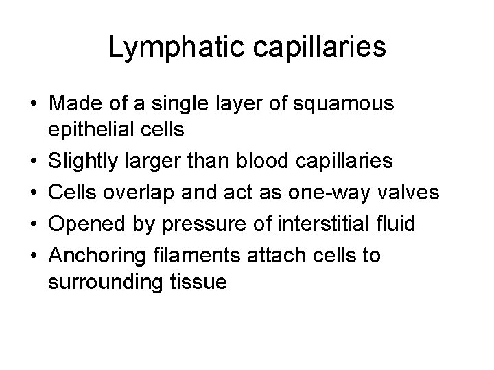Lymphatic capillaries • Made of a single layer of squamous epithelial cells • Slightly