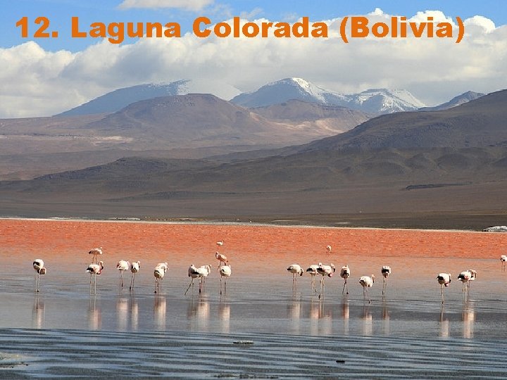 12. Laguna Colorada (Bolivia) 