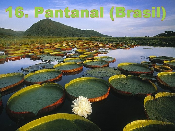 16. Pantanal (Brasil) 