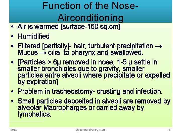 Function of the Nose. Airconditioning • Air is warmed [surface-160 sq. cm] • Humidified