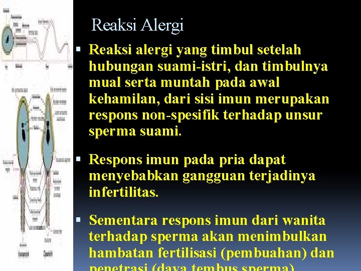 Reaksi Alergi Reaksi alergi yang timbul setelah hubungan suami-istri, dan timbulnya mual serta muntah Reaksi Alergi Reaksi alergi yang timbul setelah hubungan suami-istri, dan timbulnya mual serta muntah